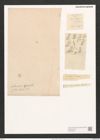 Odontidium mutabile var. intermedium (= Fragillaria intermedia) Grunow (de-Toni-Nr.: Genus 59, Species 2545) Zeichnungen Sammlung Grunow (NHMW-BOT-W0373395)